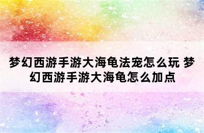 梦幻西游手游大海龟法宠怎么玩 梦幻西游手游大海龟怎么加点